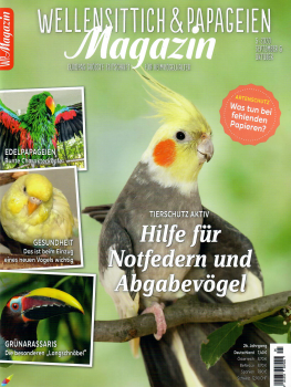 WP Magazin 5/2020 (September/Oktober)
