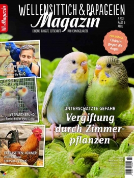 WP Magazin 2/2021 (März/ April)