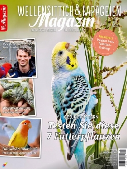 WP Magazin 4/2021 (Juli/August)