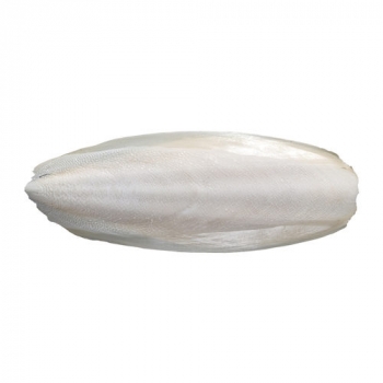 Naturbelassene Sepiaschalen XL