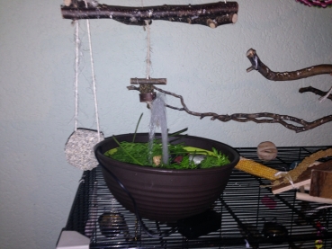 Vogelbrunnen mit Netzteil - 27cm