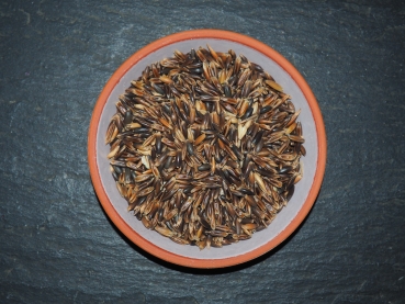 Schwarzer Hafer