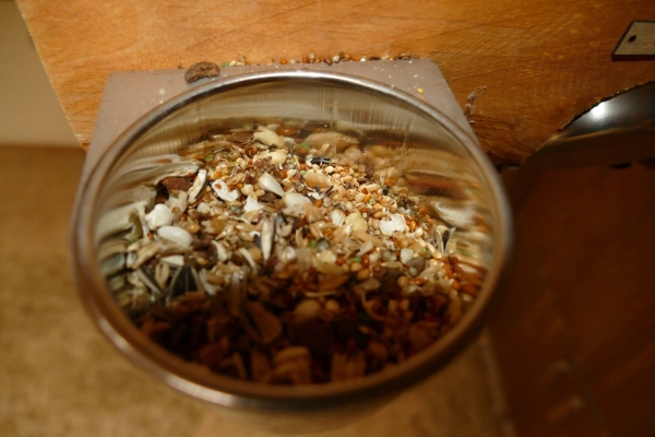 Foraging Spieltunnel aus Erle - bekannt aus der PapageienUmschau