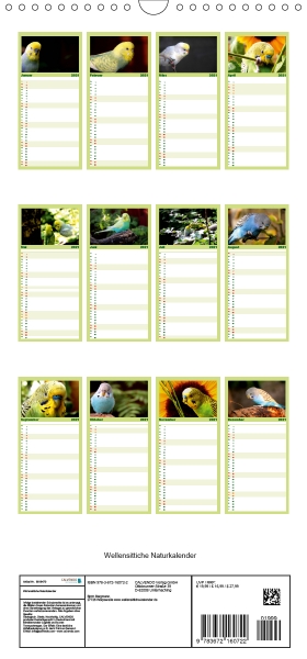 Wellensittiche Naturkalender - Familienplaner (4)
