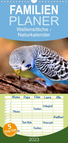 Wellensittiche Naturkalender - Familienplaner (4)
