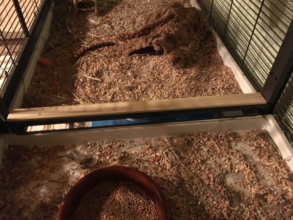 Kiefern-Schiene zur Abdeckung des Spaltes zwischen zwei Käfigen