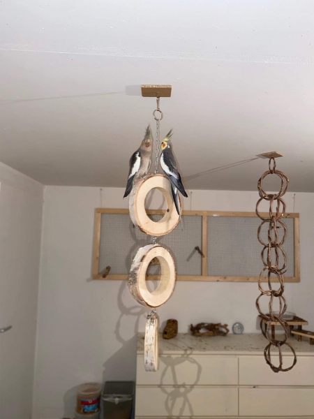Ringschaukel Trio aus Mahagoniholz zum aufhängen mit Edelstahlkette