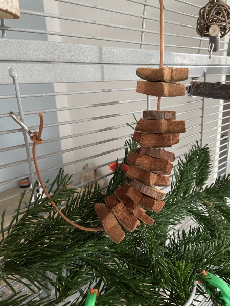 Cocos Stern Ø 4,5cm
