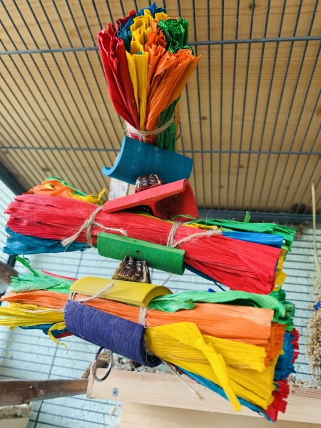 Rainbow - Der Schaukel und Schredderspaß