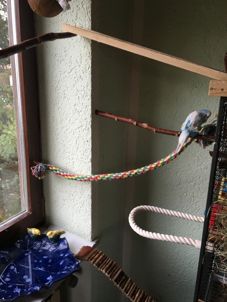 Flexible Sitzstange/ Sitzseil aus Baumwolle 70cm weiss