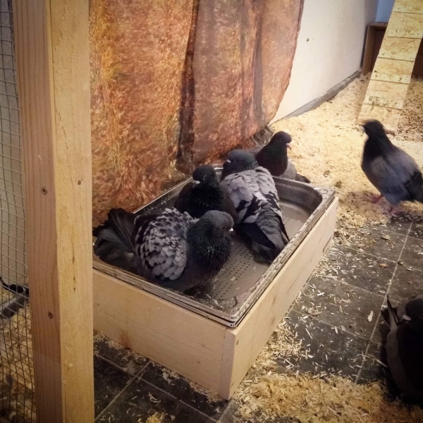 Vogelbrunnen XL aus Edelstahl und Holz