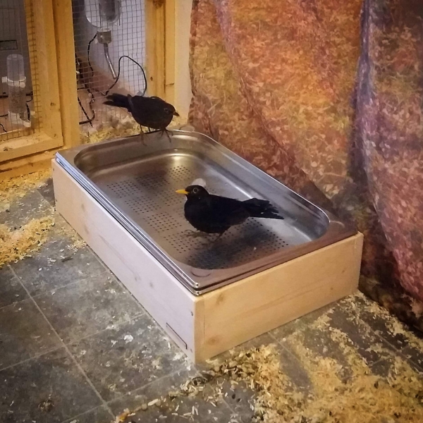 Vogelbrunnen XL aus Edelstahl und Holz