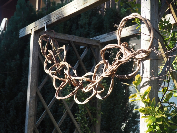Weinreben Ringschaukel 100cm
