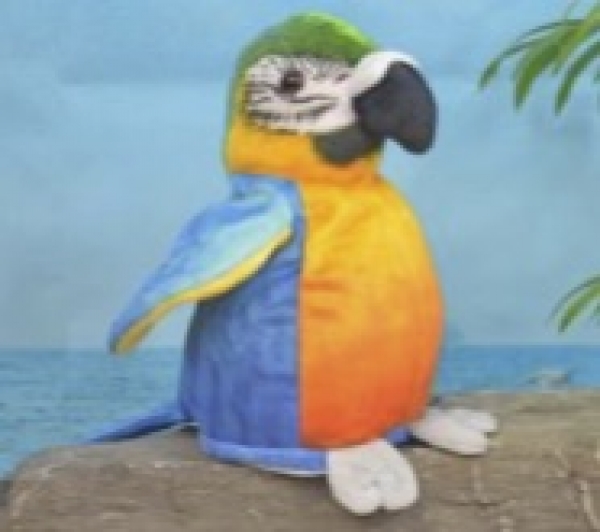 Laber-Blauflügel-Ara, Papagei "Sunny", der alles nachplappert