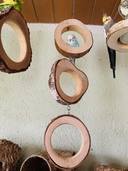 Ringschaukel Trio aus Mahagoniholz zum aufhängen mit Edelstahlkette