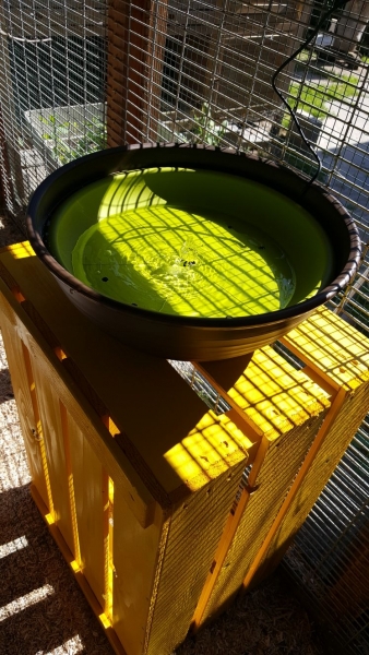 Vogelbrunnen 34cm - Solar-Powerbank oder  Netzteil