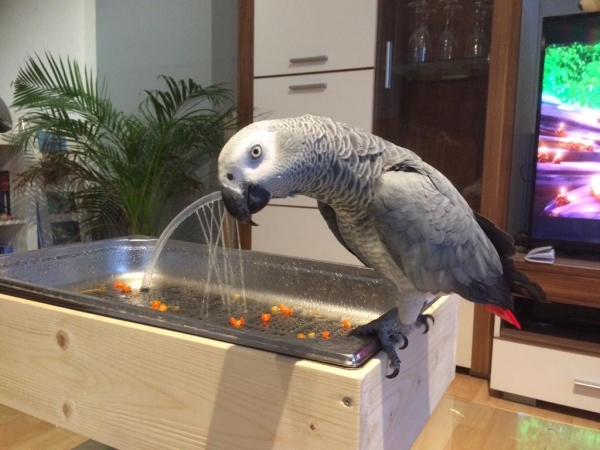 Vogelbrunnen XL aus Edelstahl und Holz