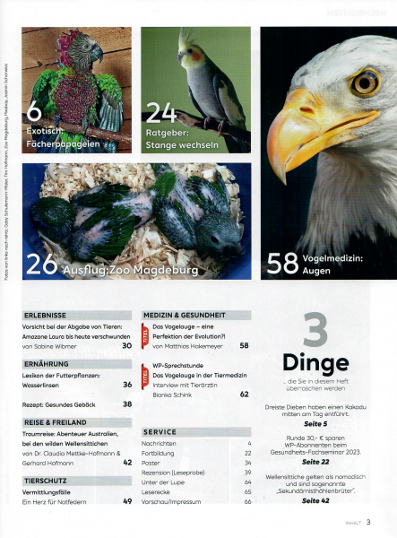 WP Magazin 2/2023 (März/April)