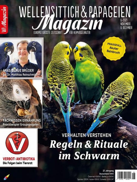 WP Magazin 6/2021 (November/Dezember)