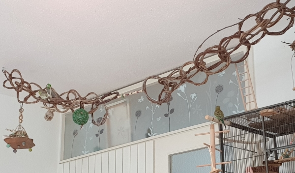 Weinreben Ringschaukel 100cm