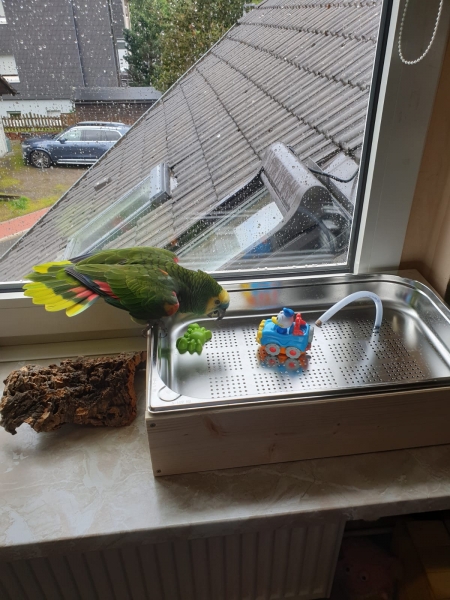 Vogelbrunnen XXL aus Edelstahl und Holz